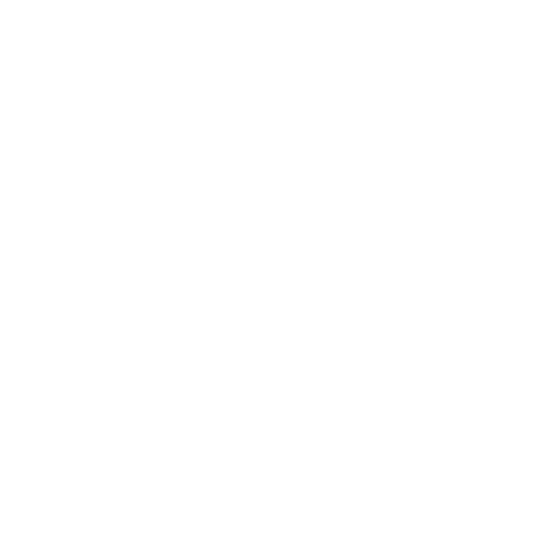 LOS SANTOS GARAGE S.A.C.